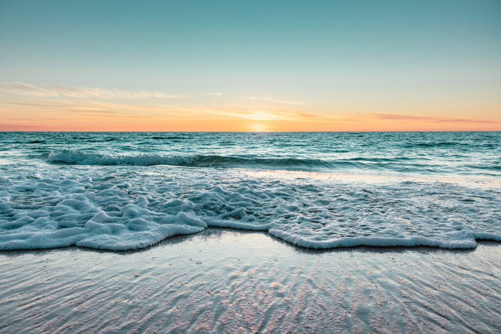 michelle mcewen onh 0gbdqzc unsplash